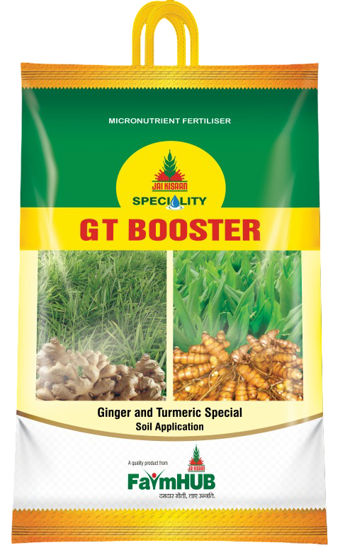 GT BOOSTER